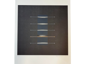 Alberte Garibbo Grafik 75x55 cm